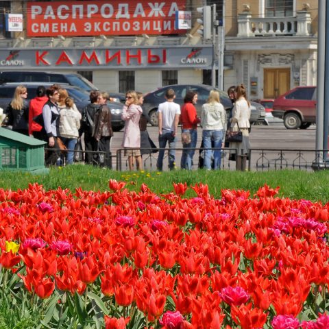 Farbenpracht - auch im Moskauer Straßenleben ein gesuchtes Motiv!